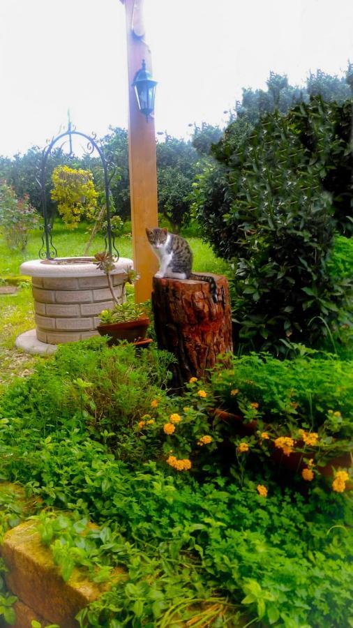 Il Giardino Del Sole Villa อันโญเน บันญี ภายนอก รูปภาพ