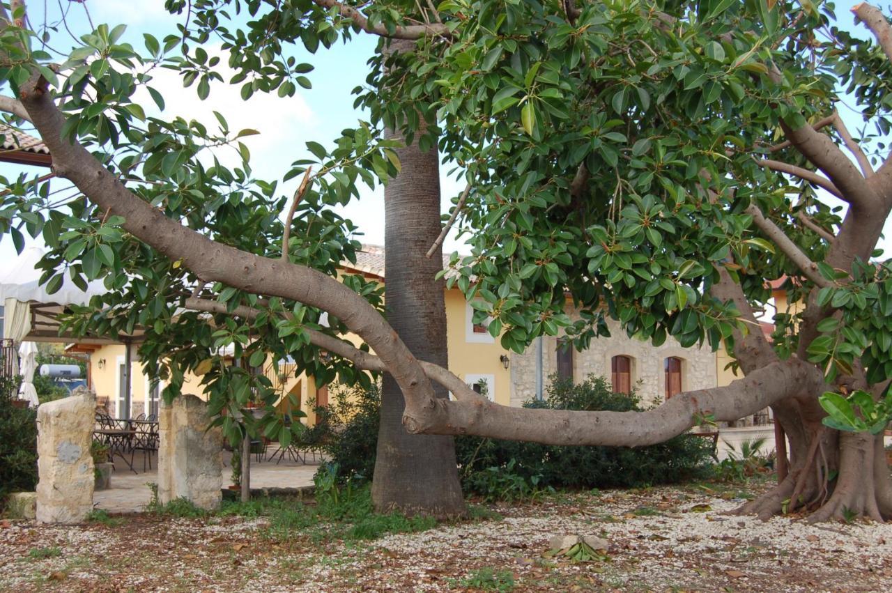 Il Giardino Del Sole Villa อันโญเน บันญี ภายนอก รูปภาพ