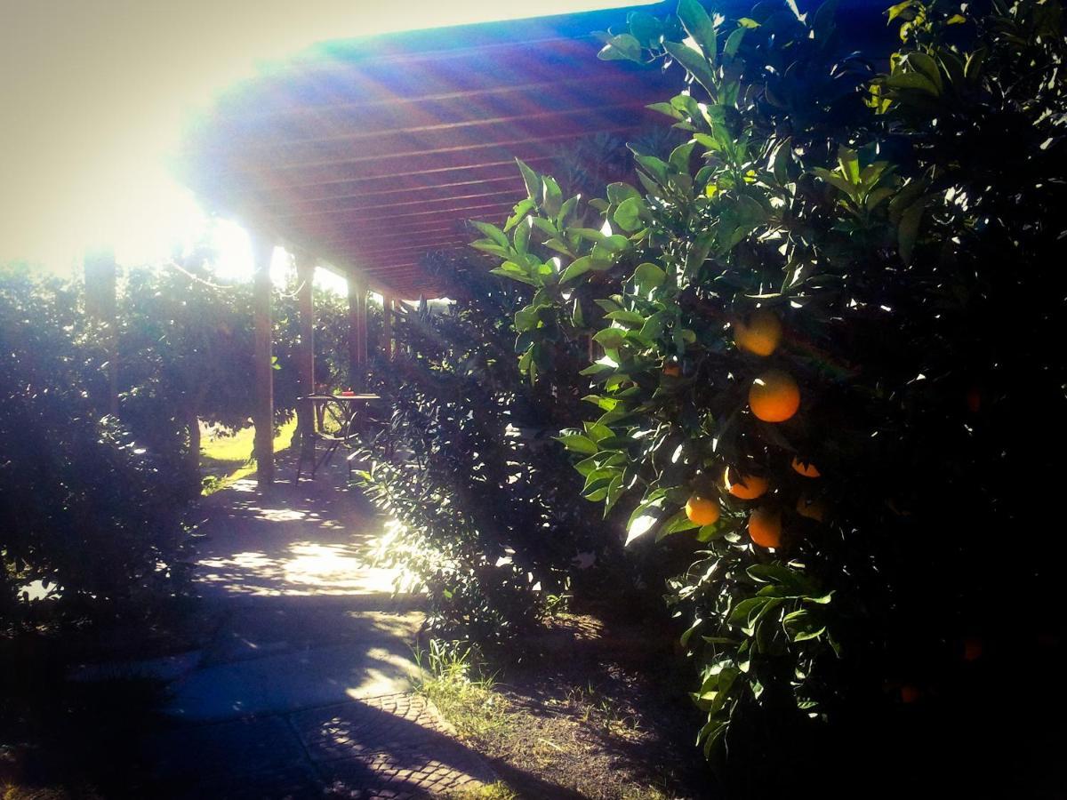 Il Giardino Del Sole Villa อันโญเน บันญี ภายนอก รูปภาพ