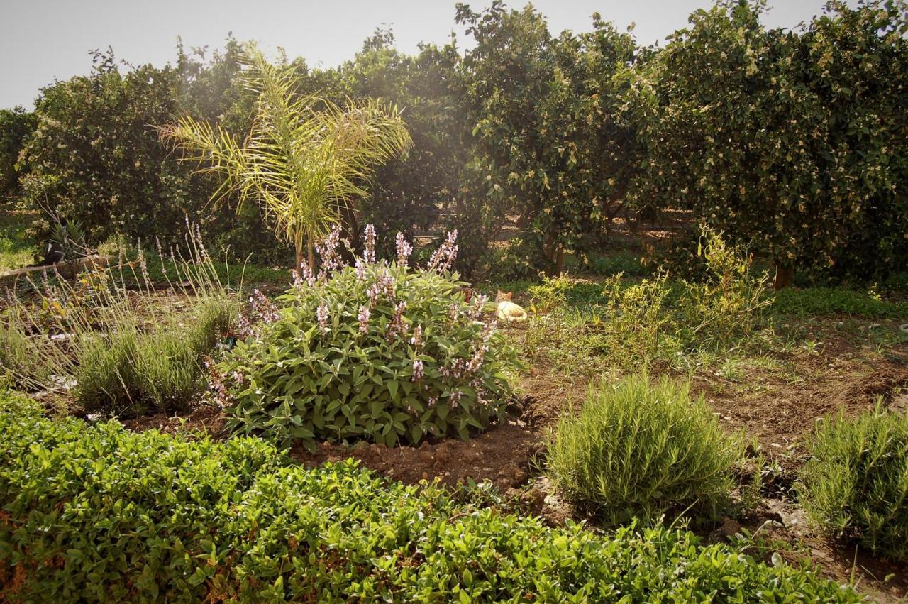 Il Giardino Del Sole Villa อันโญเน บันญี ภายนอก รูปภาพ